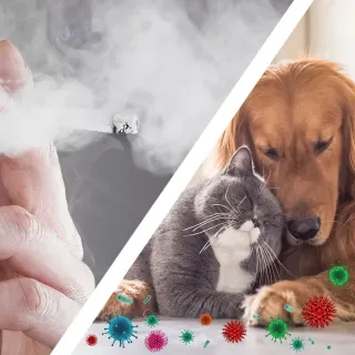 Дизайнерски пречиствател на въздух TROTEC AirgoClean® 100 E/ 39W