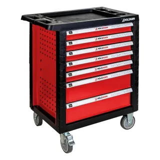 Количка с инструменти Holzmann WW770W/ 261 части