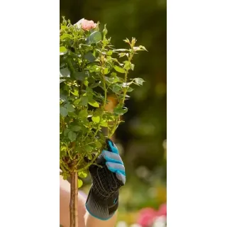 Ръкавици за работа с рози Gardena 11541-20, L