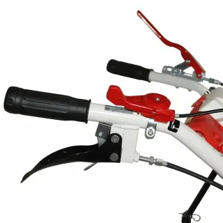 Бензинова мотофреза с фрези BISONTE Agro Garden BTA-1001/ 8.5 HP Бензинова мотофреза с фрези BISONTE Agro Garden BTA-1001/ 8.5 HP