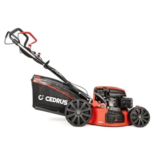 Бензинова косачка за трева Cedrus CEDKS53S/ 5,7 к.с. Бензинова косачка за трева Cedrus CEDKS53S/ 5,7 к.с.