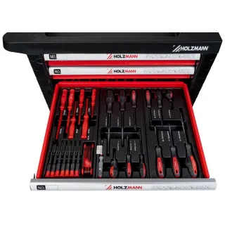Количка с инструменти Holzmann WW770W/ 261 части