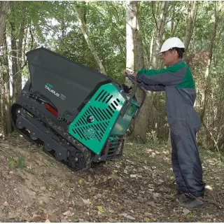 Мини дъмпер Imer Taurus 700 HT CPE-11AE/ 8.2kW