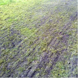 Верижна брана Jansen 1925007/ 240 см