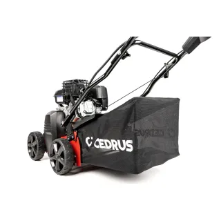 Бензинов аератор 2 в 1 Cedrus WR01-B/ 5.5 к.с.