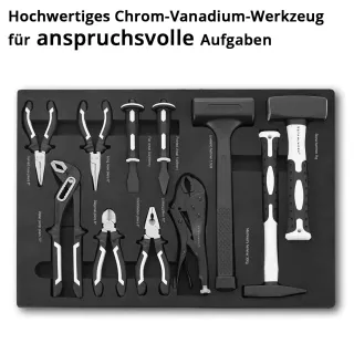 Комплект ръчни инструменти STAHLWERK 6820/ 11 бр.