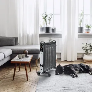 Конвектор TROTEC TCH 2050 E/ с термостат и дисплей/ 2000W