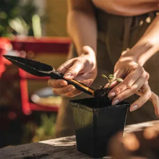 Лопатка за семена Fiskars Solid/ 298 мм