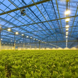 Термохигрометър Trotec BC21