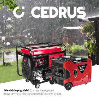 Бензинов генератор CEDRUS CEDAG10E-3F/ AVR/ 400V/ 22 к.с/ 30л