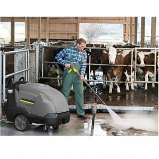 Професионална пароструйка Karcher HDS 13/20-4 S