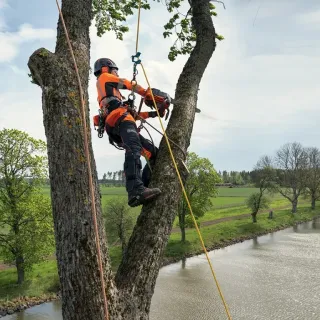 Бензинов верижен трион Husqvarna T540 XP Mark III/ 1900 W