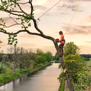 Бензинов верижен трион Husqvarna T540 XP Mark III/ 1900 W