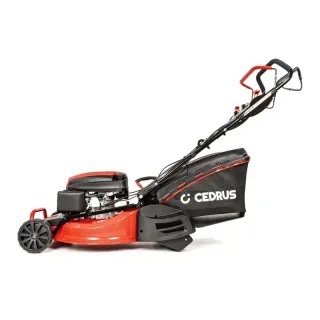 Самоходна бензинова косачка с уплътняващ валяк Cedrus CEDKS53S-R/ 4,2 kW Самоходна бензинова косачка с уплътняващ валяк Cedrus CEDKS53S-R/ 4,2 kW